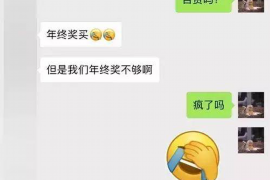 汉源为什么选择专业追讨公司来处理您的债务纠纷？